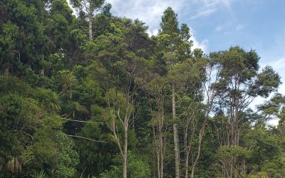 Will it ever stop raining this spring?!