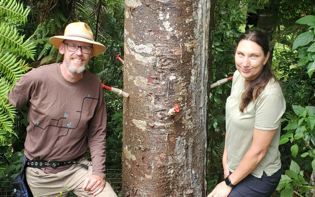 Our 2025-26 summer field season finally gets underway