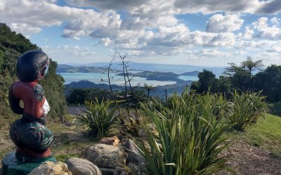 Coromandel treatment trip