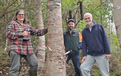 Northland funding helping landowners
