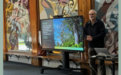 Te Tai Tokerau / Northland Kauri Ora Hui