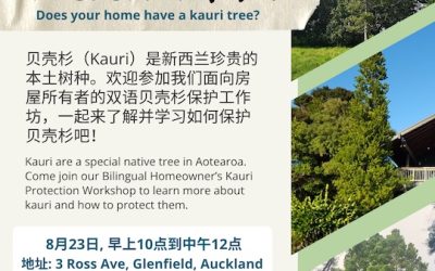 Bilingual Mandarin kauri workshop for landowners
